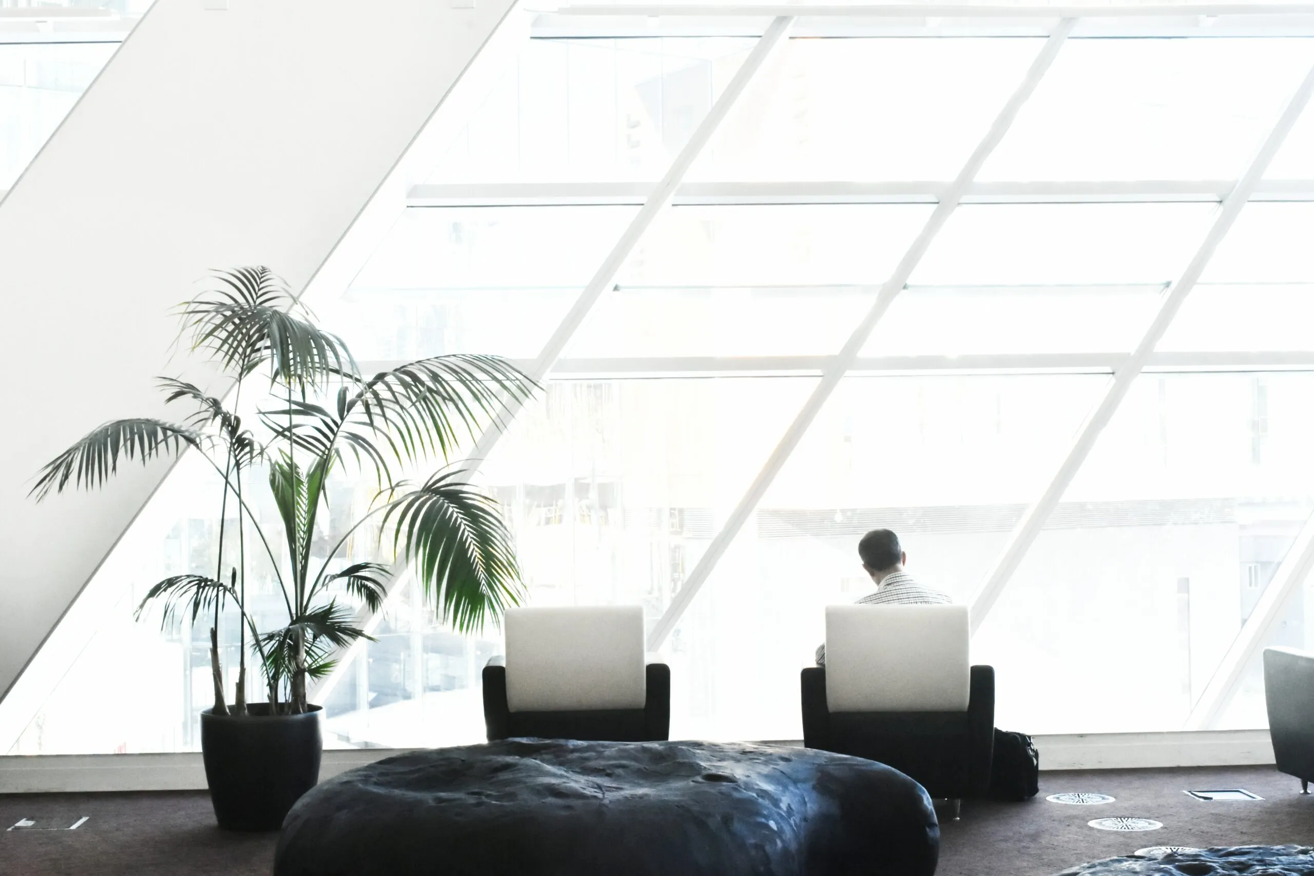 Plant - Hotel Pricing Strategies - Explained - Hotel Pricing Strategy & Revenue Management - BEONx